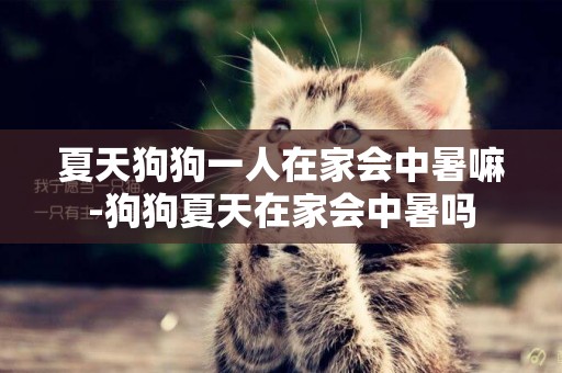 夏天狗狗一人在家會中暑嘛-狗狗夏天在家會中暑嗎