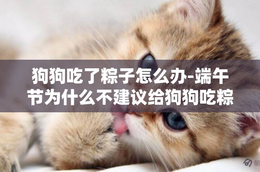 狗狗吃了粽子怎么辦-端午節為什么不建議給狗狗吃粽子
