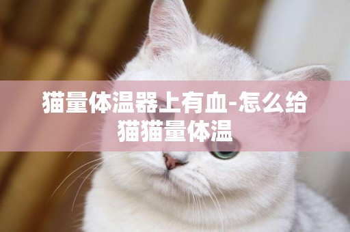 貓量體溫器上有血-怎么給貓貓量體溫