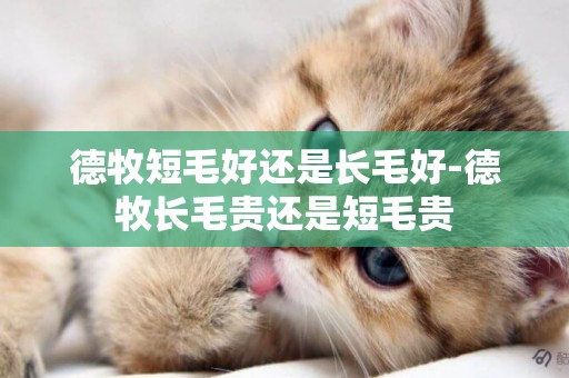 德牧短毛好還是長毛好-德牧長毛貴還是短毛貴