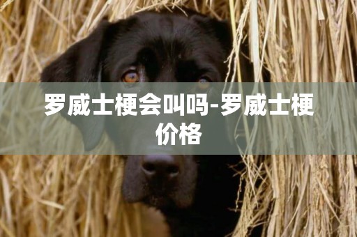 羅威士梗會叫嗎-羅威士梗價格