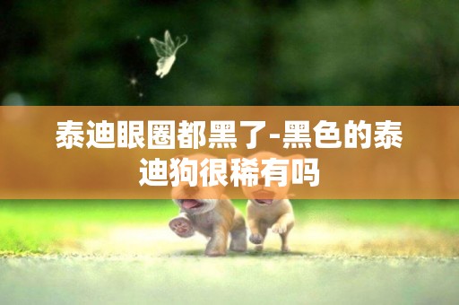 泰迪眼圈都黑了-黑色的泰迪狗很稀有嗎