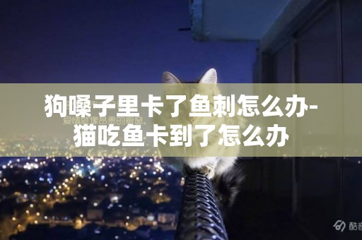 狗嗓子里卡了魚刺怎么辦-貓吃魚卡到了怎么辦