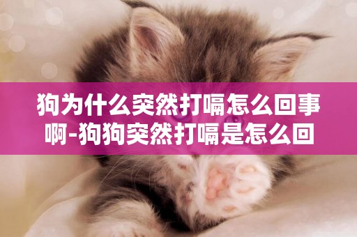 狗為什么突然打嗝怎么回事啊-狗狗突然打嗝是怎么回事