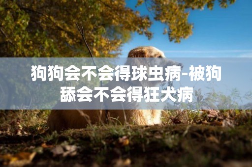 狗狗會不會得球蟲病-被狗舔會不會得狂犬病