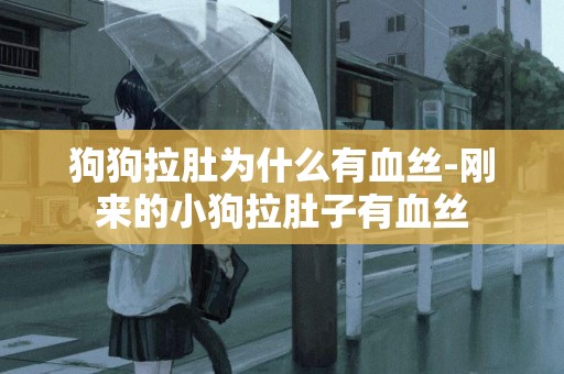 狗狗拉肚為什么有血絲-剛來的小狗拉肚子有血絲