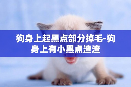 狗身上起黑點部分掉毛-狗身上有小黑點渣渣