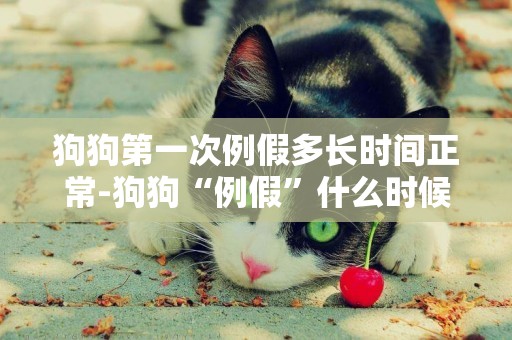 狗狗第一次例假多長時間正常-狗狗“例假”什么時候來、多長時間來一次