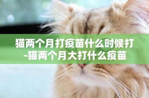貓兩個月打疫苗什么時候打-貓兩個月大打什么疫苗
