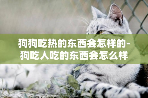 狗狗吃熱的東西會怎樣的-狗吃人吃的東西會怎么樣