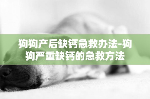 狗狗產后缺鈣急救辦法-狗狗嚴重缺鈣的急救方法