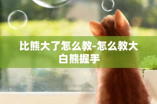 比熊大了怎么教-怎么教大白熊握手