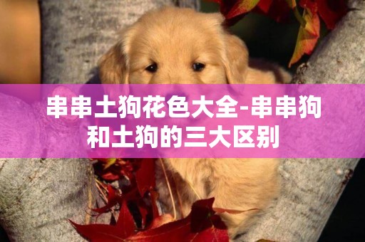 串串土狗花色大全-串串狗和土狗的三大區別