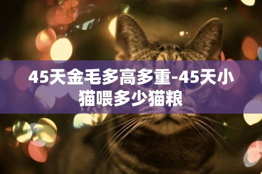 45天金毛多高多重-45天小貓喂多少貓糧
