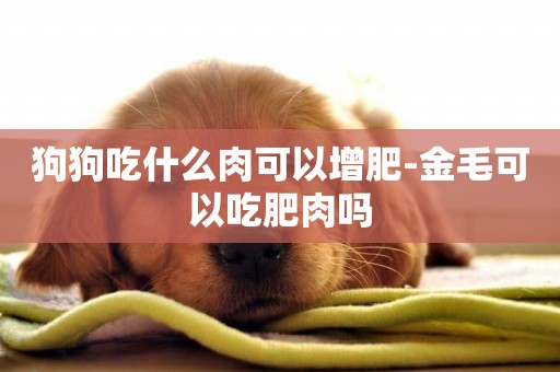 狗狗吃什么肉可以增肥-金毛可以吃肥肉嗎