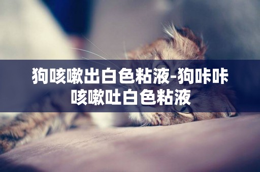 狗咳嗽出白色粘液-狗咔咔咳嗽吐白色粘液