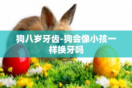 狗八歲牙齒-狗會像小孩一樣換牙嗎