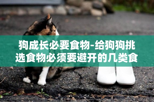 狗成長必要食物-給狗狗挑選食物必須要避開的幾類食物