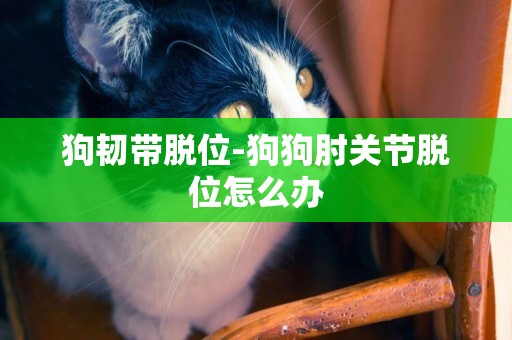狗韌帶脫位-狗狗肘關節脫位怎么辦