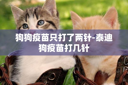 狗狗疫苗只打了兩針-泰迪狗疫苗打幾針