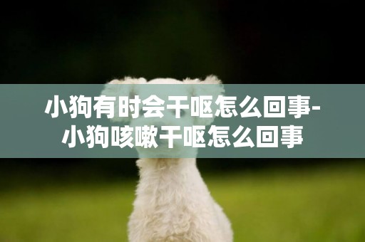 小狗有時會干嘔怎么回事-小狗咳嗽干嘔怎么回事