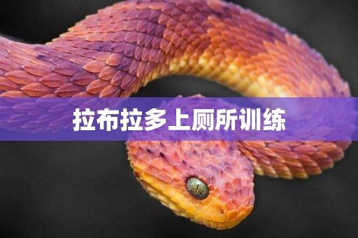 拉布拉多上廁所訓練