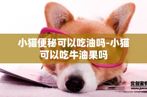 小貓便秘可以吃油嗎-小貓可以吃牛油果嗎