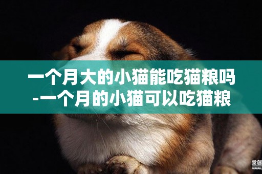 一個月大的小貓能吃貓糧嗎-一個月的小貓可以吃貓糧嗎
