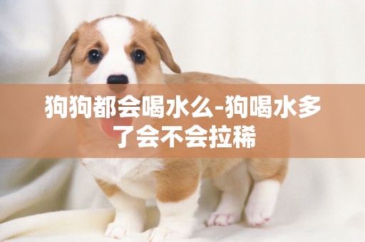 狗狗都會喝水么-狗喝水多了會不會拉稀