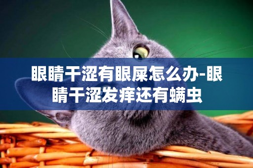 眼睛干澀有眼屎怎么辦-眼睛干澀發癢還有螨蟲
