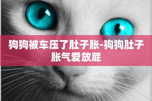 狗狗被車壓了肚子脹-狗狗肚子脹氣愛放屁