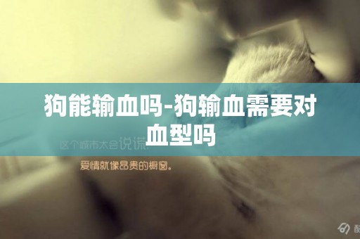 狗能輸血嗎-狗輸血需要對血型嗎