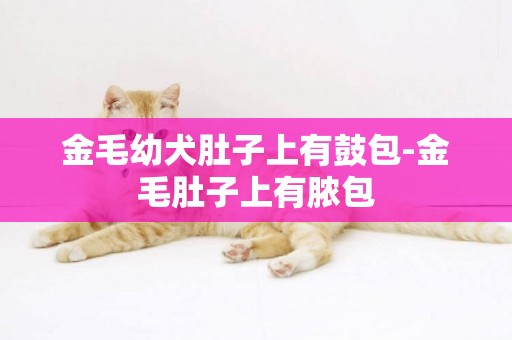 金毛幼犬肚子上有鼓包-金毛肚子上有膿包