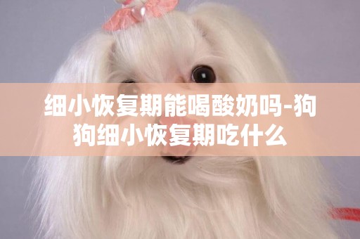 細小恢復期能喝酸奶嗎-狗狗細小恢復期吃什么