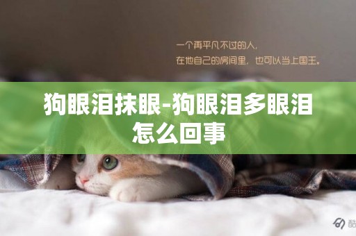 狗眼淚抹眼-狗眼淚多眼淚怎么回事