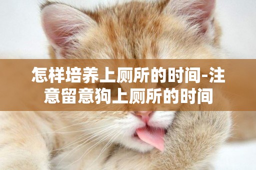怎樣培養上廁所的時間-注意留意狗上廁所的時間