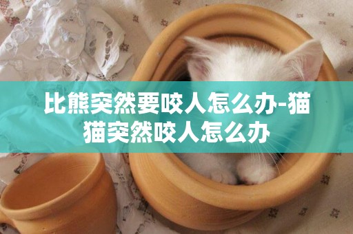 比熊突然要咬人怎么辦-貓貓突然咬人怎么辦