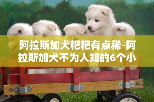 阿拉斯加犬粑粑有點稀-阿拉斯加犬不為人知的6個小秘密