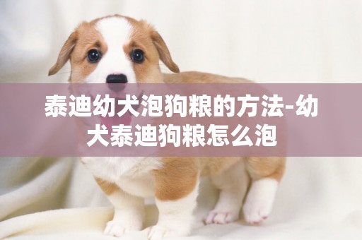 泰迪幼犬泡狗糧的方法-幼犬泰迪狗糧怎么泡