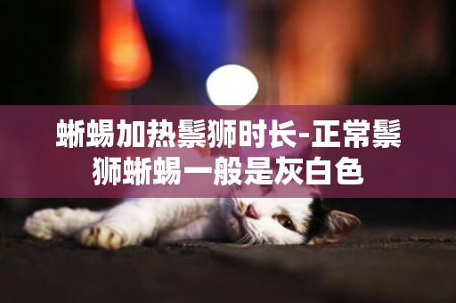 蜥蜴加熱鬃獅時長-正常鬃獅蜥蜴一般是灰白色