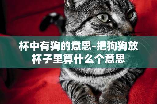 杯中有狗的意思-把狗狗放杯子里算什么個意思