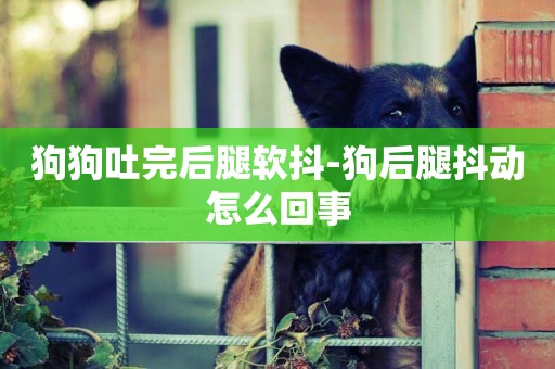 狗狗吐完后腿軟抖-狗后腿抖動怎么回事