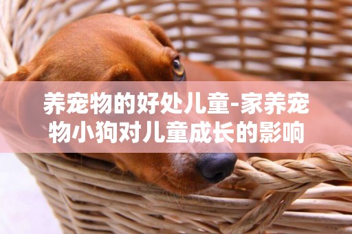 養寵物的好處兒童-家養寵物小狗對兒童成長的影響