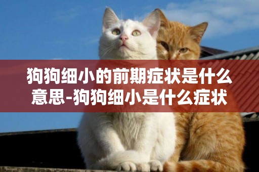狗狗細小的前期癥狀是什么意思-狗狗細小是什么癥狀