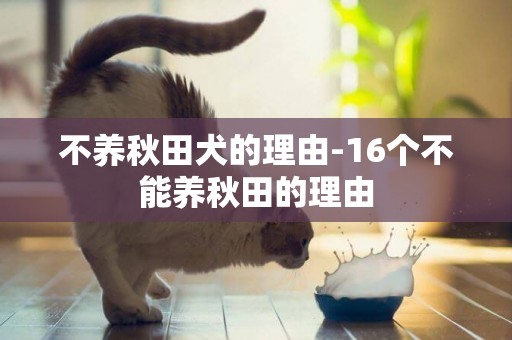 不養秋田犬的理由-16個不能養秋田的理由