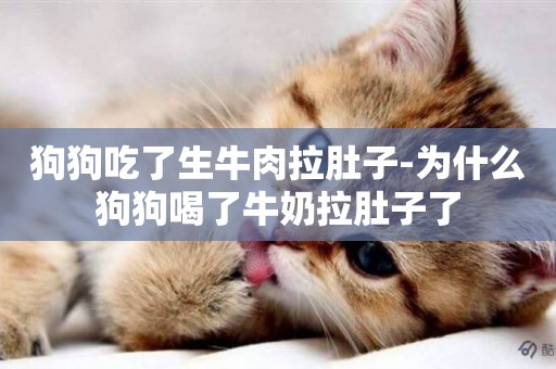 狗狗吃了生牛肉拉肚子-為什么狗狗喝了牛奶拉肚子了