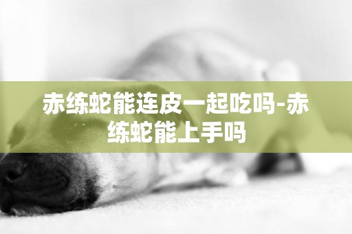 赤練蛇能連皮一起吃嗎-赤練蛇能上手嗎