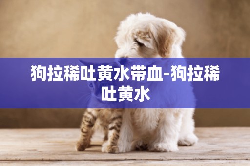 狗拉稀吐黃水帶血-狗拉稀吐黃水