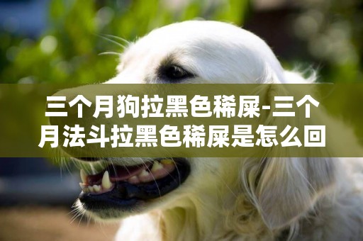 三個月狗拉黑色稀屎-三個月法斗拉黑色稀屎是怎么回事
