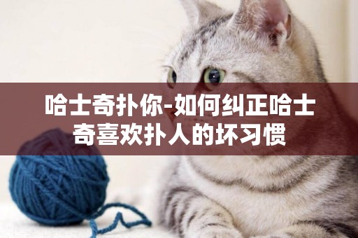 哈士奇撲你-如何糾正哈士奇喜歡撲人的壞習慣